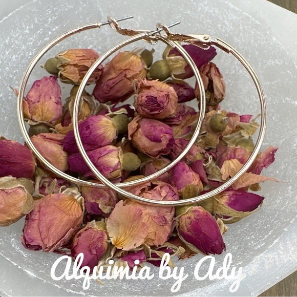 Alquimia by Ady Gold Hoop Earrings - Picture 1 of 1